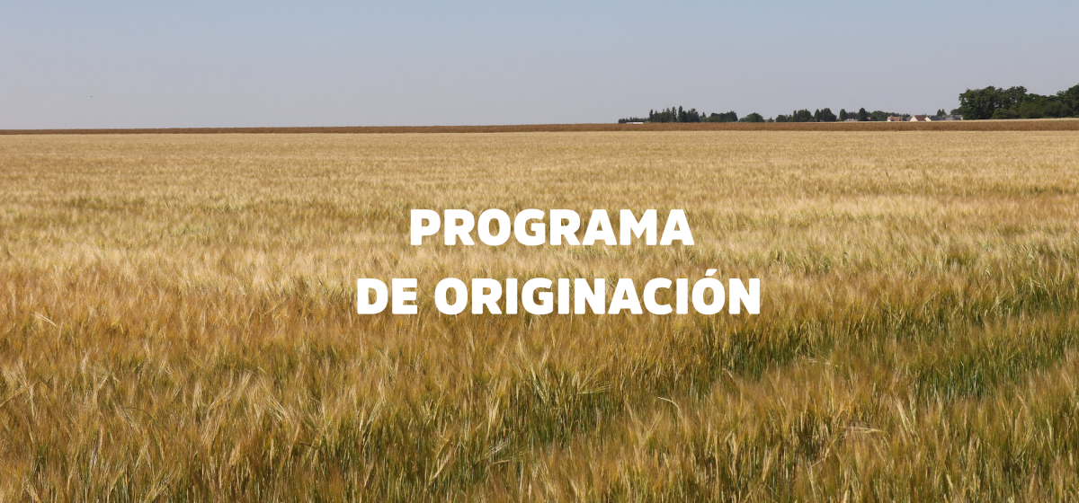 Conocé más sobre nuestro Programa de originación 