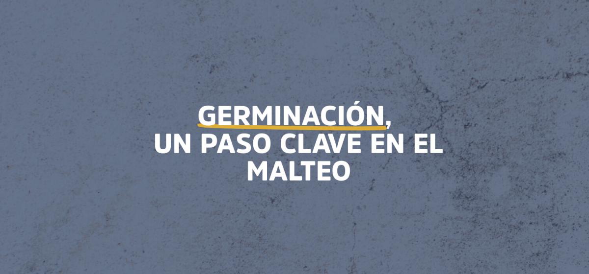 Germinación, un paso clave en el malteo