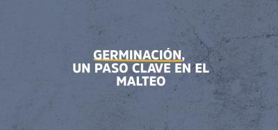Germinación, un paso clave en el malteo